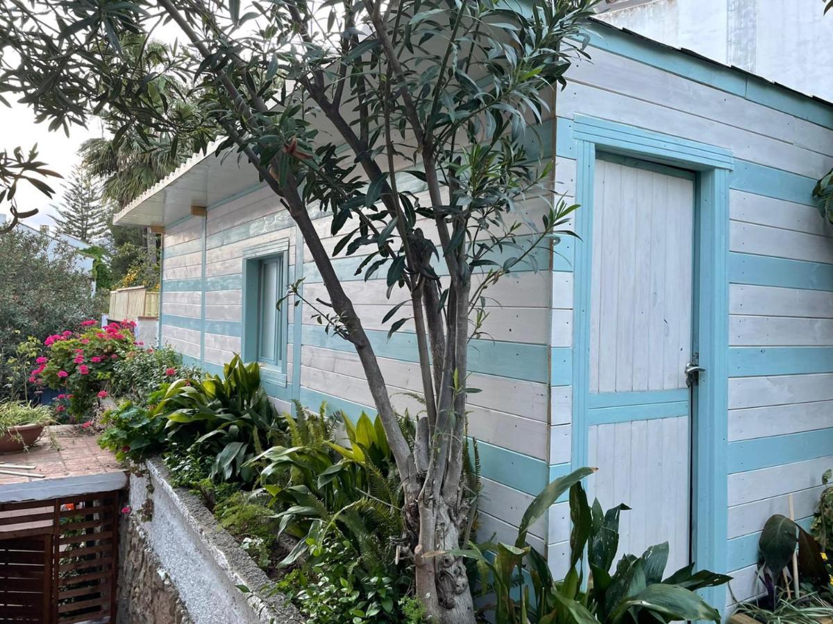 Villa Palma マルベーリャ エクステリア 写真